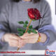 Crystal Red Rose Flower Figurines Craft Birthday Valentine's Day Favors X'mas Gifts Wedding Home Table Decoration Ornament